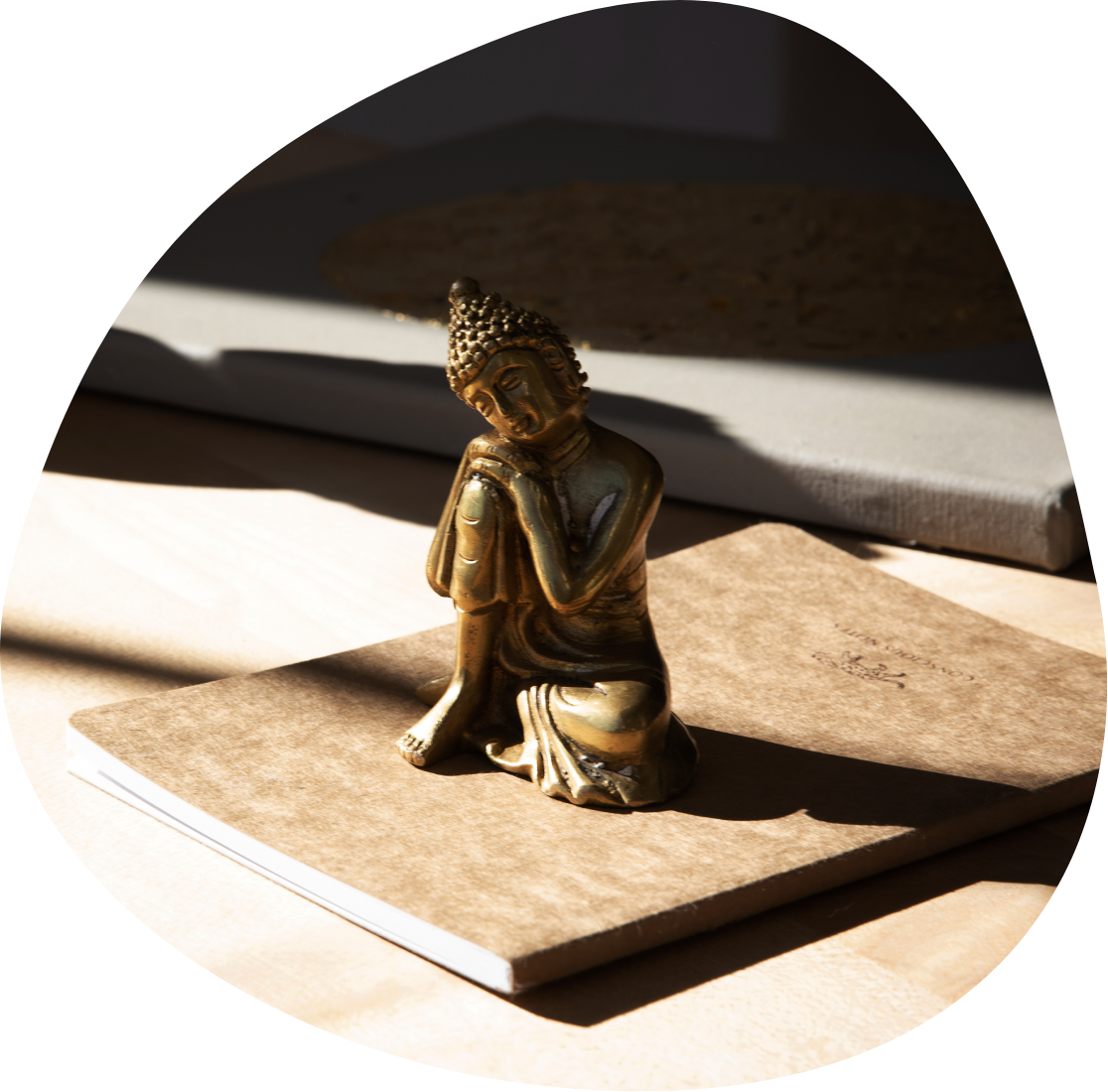 Nina Schabel-Pittracher